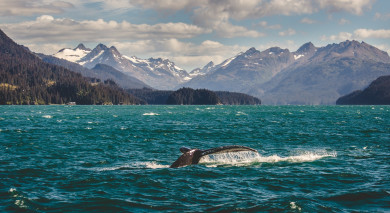 Empfohlene Individualreise, Rundreise: Alaska Roadtrip – legendäre Landschaften und Denali Nationalpark Empfohlene Individualreise, Rundreise: Alaska Roadtrip – legendäre Landschaften und Denali Nationalpark