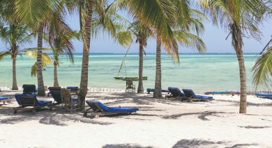 Example private tour: Big Five and Remote Island Paradises Example private tour: Big Five and Remote Island Paradises