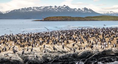 Example private tour: Falls, Falklands and Antarctic Adventures Example private tour: Falls, Falklands and Antarctic Adventures