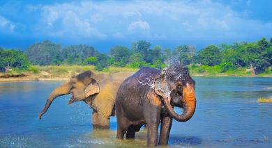Empfohlene Individualreise, Rundreise: Höhepunkte von Nepal & Bhutan Empfohlene Individualreise, Rundreise: Höhepunkte von Nepal & Bhutan