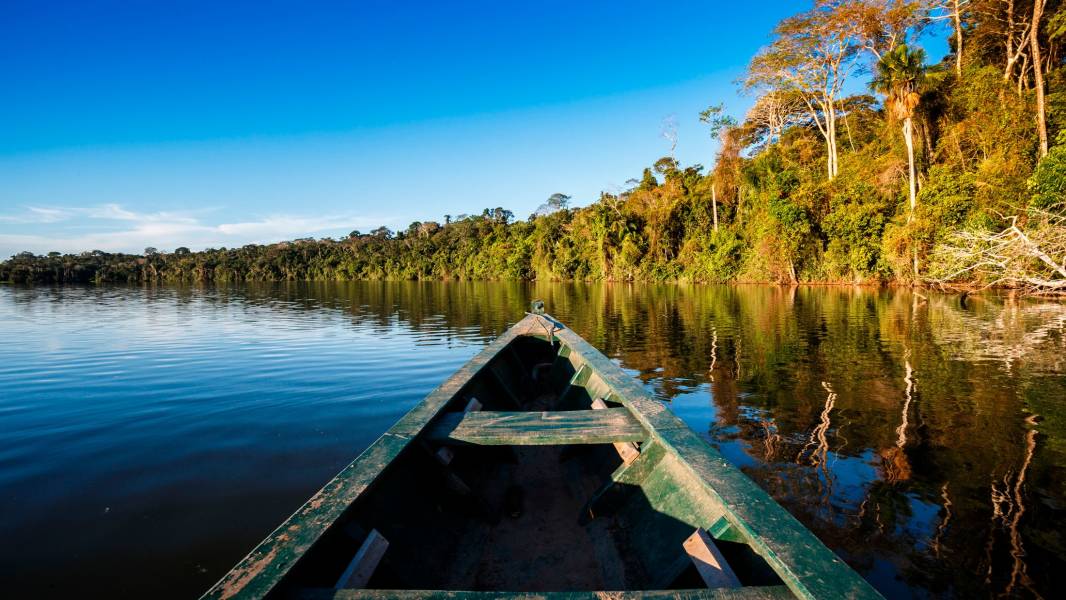amazon rainforest travel reddit