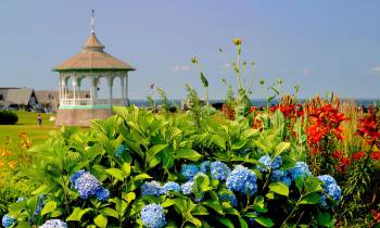Ocean Park