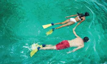 a person swimming in a pool of water