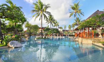 a group of palm trees next to a pool of water