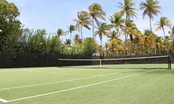 a group of palm trees on the court