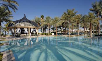 a group of palm trees next to a pool of water