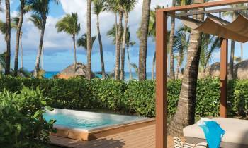 a pool next to a palm tree