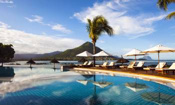 a group of palm trees next to a body of water