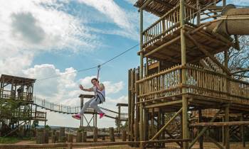 Zip Line