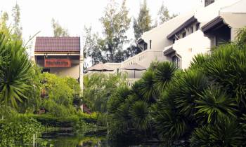 a house with bushes in front of a pond