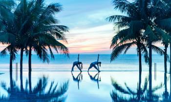 a group of palm trees next to a body of water