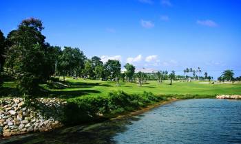 a large body of water with grass and trees