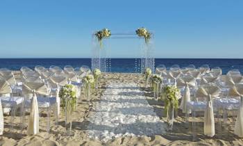 Beach Wedding
