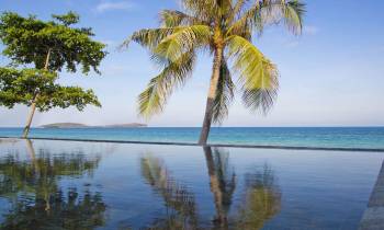 a palm tree in front of a body of water