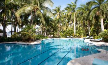 a pool next to a palm tree