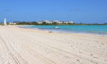 a sandy beach next to the ocean