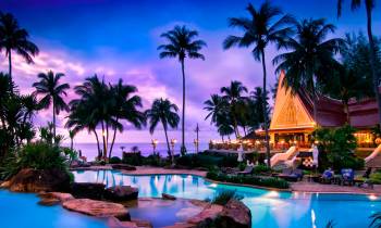 a group of palm trees next to a body of water