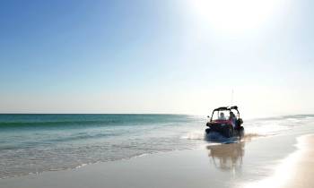 Beach Buggy