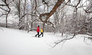 a man is cross country skiing in the snow