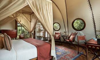 Cocoon Suite interior