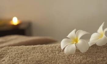 hayesandJarvis spa
