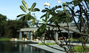 Alila Koh Russey Swimming Pool
