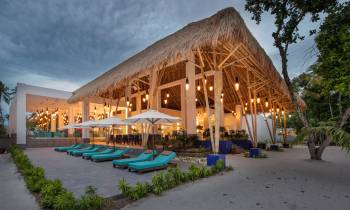 a group of palm trees with a building in the background
