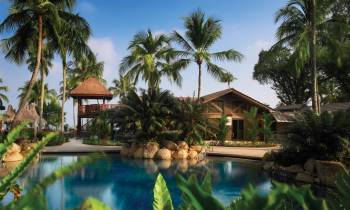 a resort near the water lined with palm trees