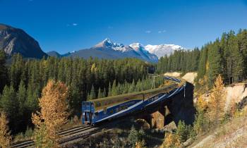a train traveling down train tracks near a forest