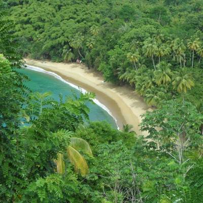 Englishman's Bay