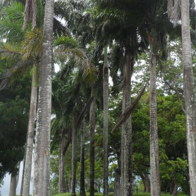 Scarborough Botanical Gardens