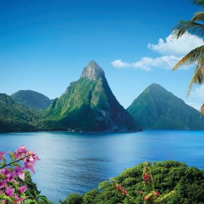 a group of palm trees next to a body of water with Pitons in the background