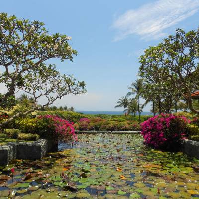 a close up of a flower garden