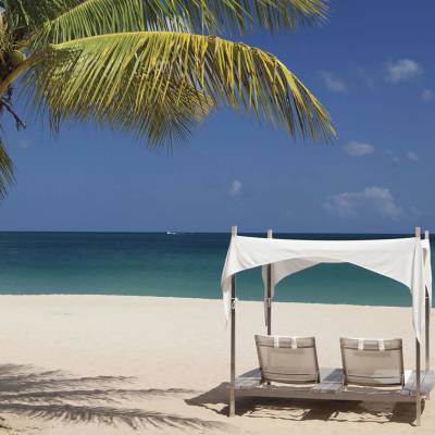 a beach with a palm tree
