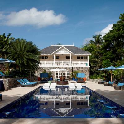 a group of palm trees next to a pool