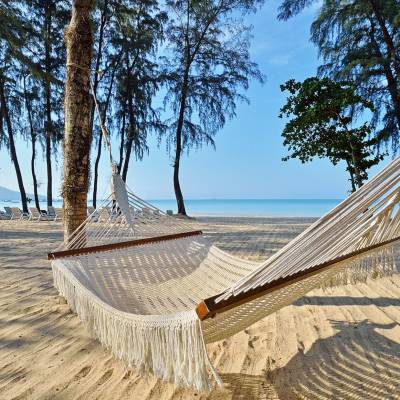 Hammock