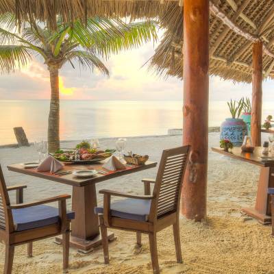 a group of palm trees next to a chair
