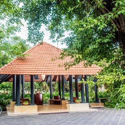 a house with trees in the background