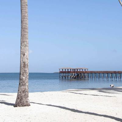 a sandy beach next to a body of water