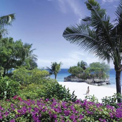 Beach and Garden