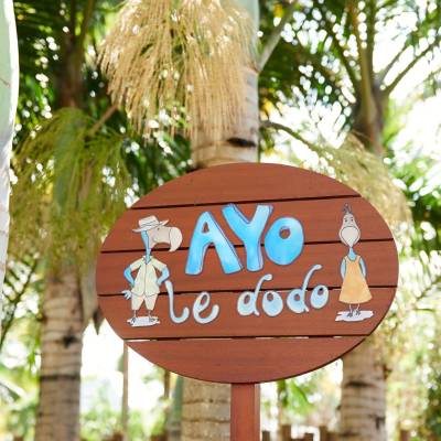 Ayo le dodo kids club