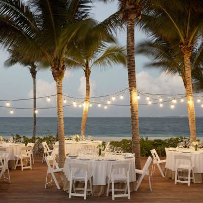 Wedding dining