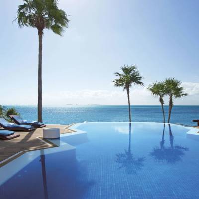a group of palm trees next to a body of water