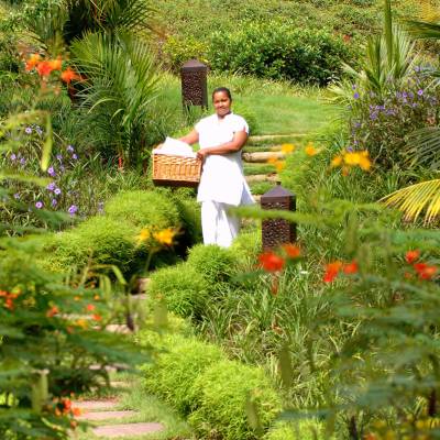 Botanical Garden