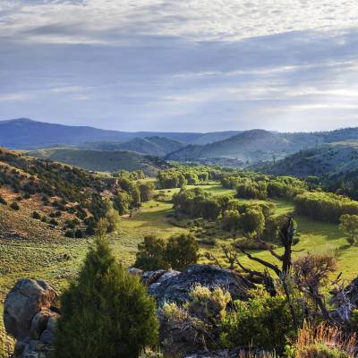 Ranch scenary