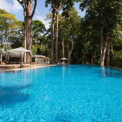 a blue and swimming in a pool of water