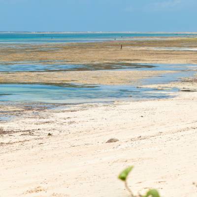 a person riding a horse on a beach