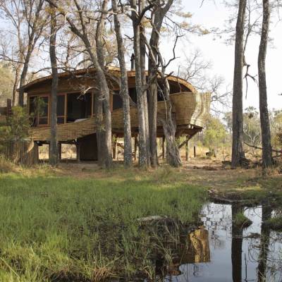 and beyond Sandibe Lodge Botswana