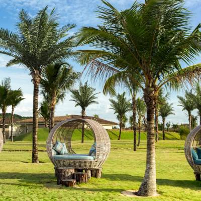 a large lawn in front of a palm tree