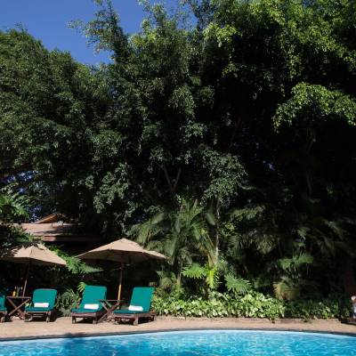 a pool next to a tree